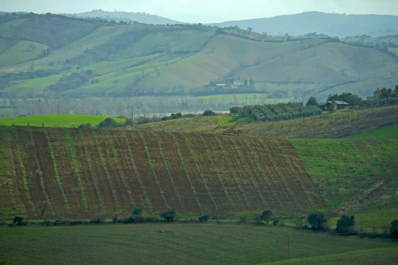 Marrucheti 82 Villa Campagnatico Farm stay